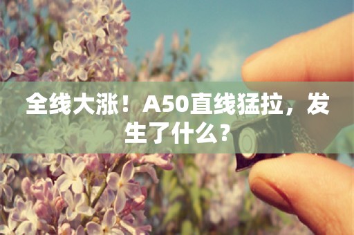 全线大涨！A50直线猛拉，发生了什么？