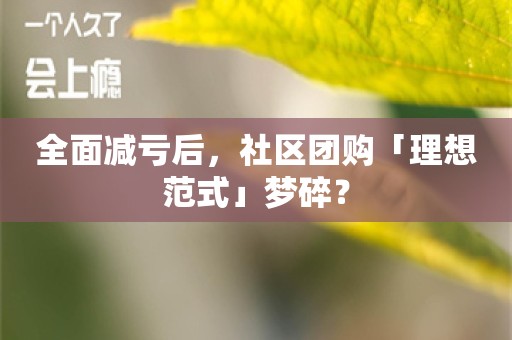 全面减亏后，社区团购「理想范式」梦碎？