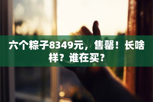 六个粽子8349元，售罄！长啥样？谁在买？