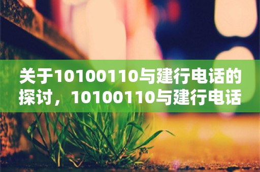 关于10100110与建行电话的探讨，10100110与建行电话服务探讨