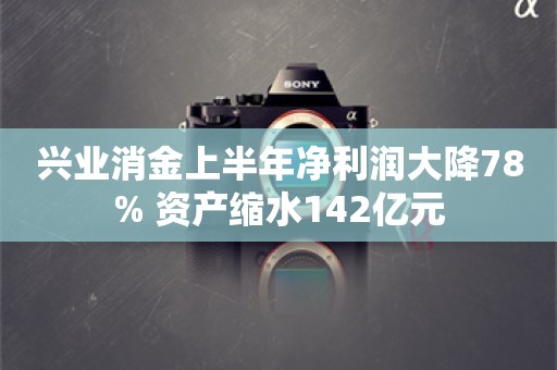 兴业消金上半年净利润大降78% 资产缩水142亿元