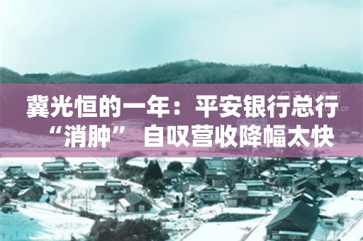 冀光恒的一年：平安银行总行“消肿” 自叹营收降幅太快