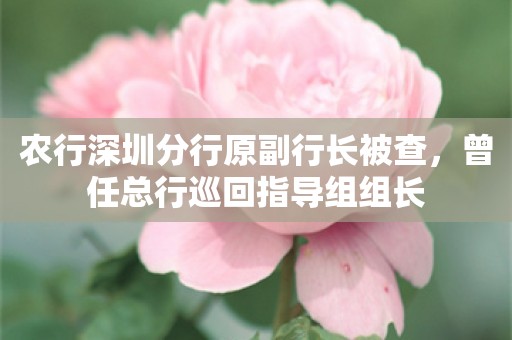 农行深圳分行原副行长被查，曾任总行巡回指导组组长