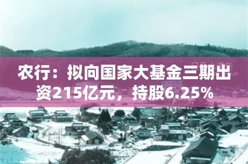 农行：拟向国家大基金三期出资215亿元，持股6.25%