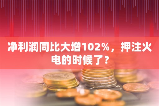 净利润同比大增102%，押注火电的时候了？