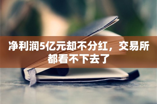 净利润5亿元却不分红，交易所都看不下去了