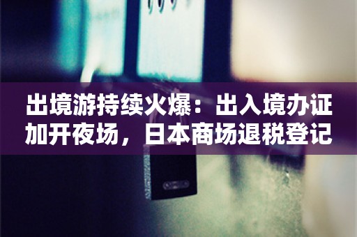 出境游持续火爆：出入境办证加开夜场，日本商场退税登记处排长队