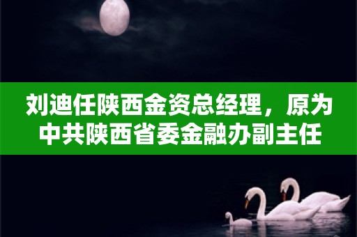 刘迪任陕西金资总经理，原为中共陕西省委金融办副主任