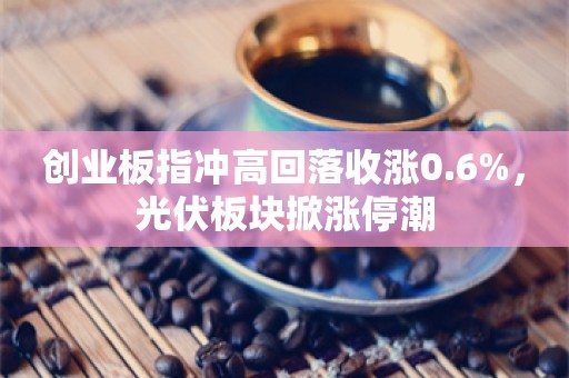 创业板指冲高回落收涨0.6%，光伏板块掀涨停潮