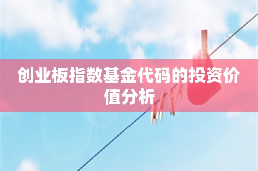 创业板指数基金代码的投资价值分析