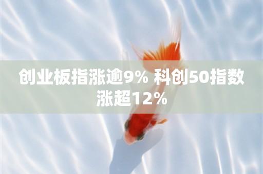 创业板指涨逾9% 科创50指数涨超12%