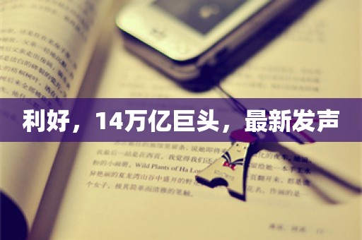 利好，14万亿巨头，最新发声