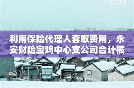 利用保险代理人套取费用，永安财险宝鸡中心支公司合计被罚12万元