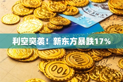 利空突袭！新东方暴跌17%