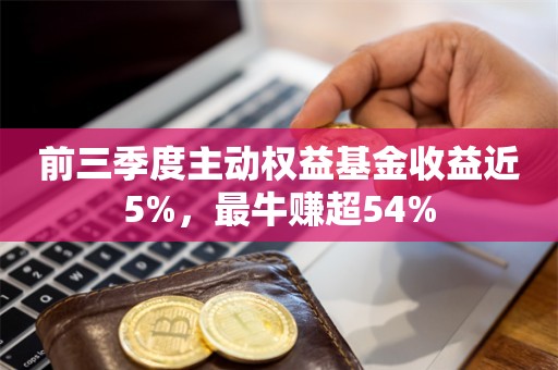 前三季度主动权益基金收益近5%，最牛赚超54%