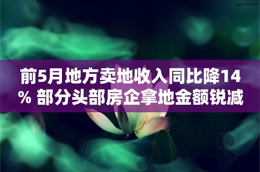 前5月地方卖地收入同比降14% 部分头部房企拿地金额锐减