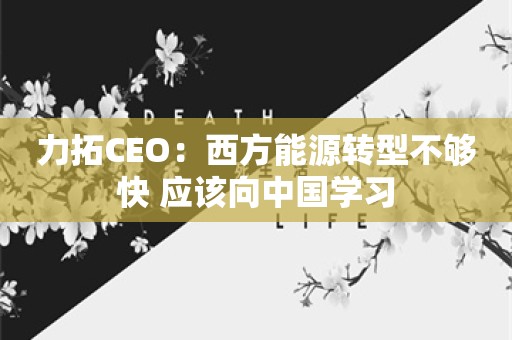 力拓CEO：西方能源转型不够快 应该向中国学习