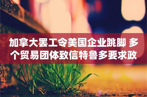 加拿大罢工令美国企业跳脚 多个贸易团体致信特鲁多要求政府介入_ZAKER新闻