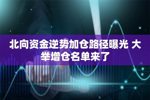 北向资金逆势加仓路径曝光 大举增仓名单来了