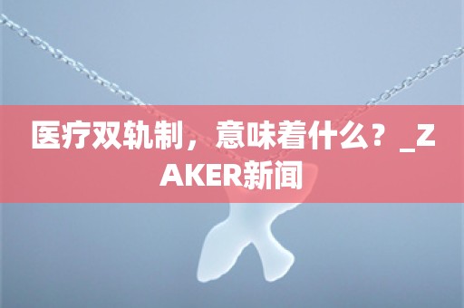 医疗双轨制，意味着什么？_ZAKER新闻