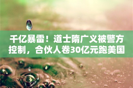 千亿暴雷！道士隋广义被警方控制，合伙人卷30亿元跑美国