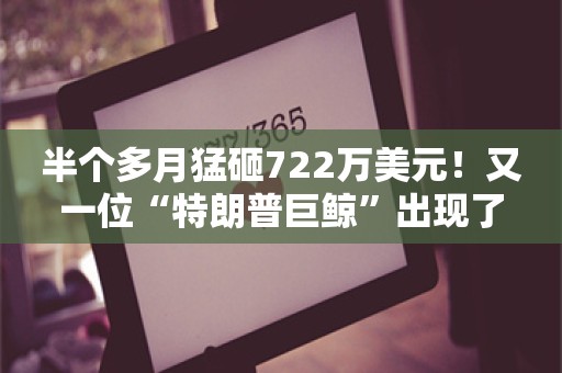 半个多月猛砸722万美元！又一位“特朗普巨鲸”出现了