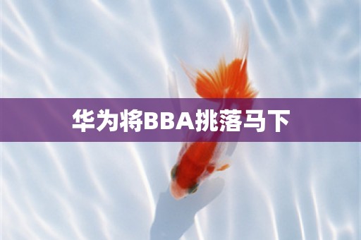 华为将BBA挑落马下