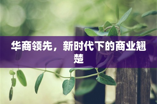 华商领先，新时代下的商业翘楚