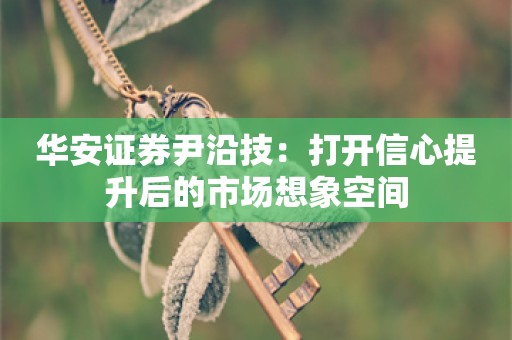 华安证券尹沿技：打开信心提升后的市场想象空间