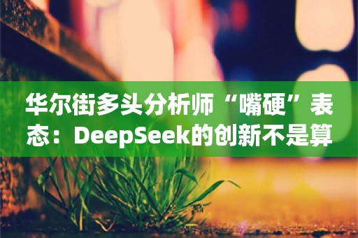 华尔街多头分析师“嘴硬”表态：DeepSeek的创新不是算力利空