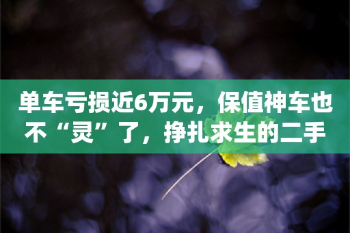 单车亏损近6万元，保值神车也不“灵”了，挣扎求生的二手车商：今年难，很难_ZAKER新闻