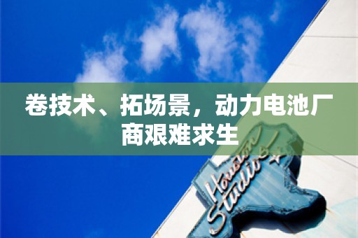 卷技术、拓场景，动力电池厂商艰难求生