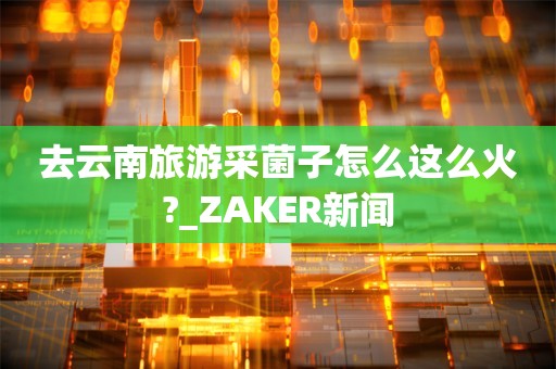 去云南旅游采菌子怎么这么火?_ZAKER新闻