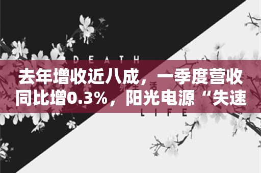 去年增收近八成，一季度营收同比增0.3%，阳光电源“失速”？