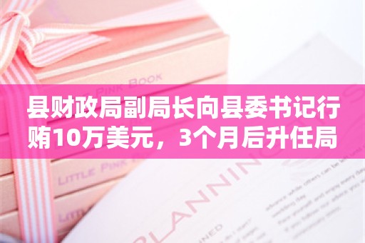 县财政局副局长向县委书记行贿10万美元，3个月后升任局长