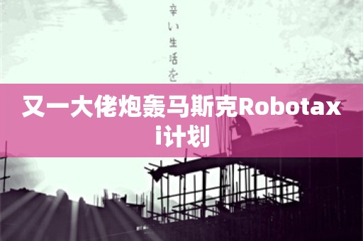 又一大佬炮轰马斯克Robotaxi计划