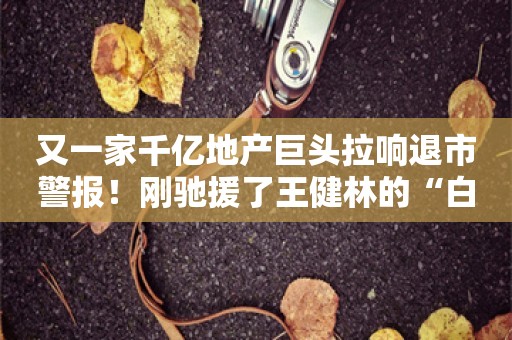 又一家千亿地产巨头拉响退市警报！刚驰援了王健林的“白衣骑士”又要出手？股价立马涨停