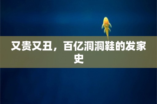 又贵又丑，百亿洞洞鞋的发家史