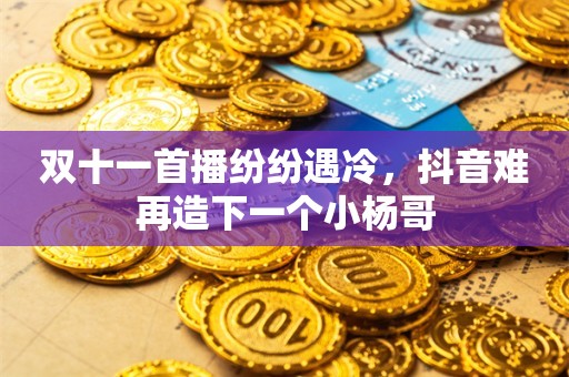 双十一首播纷纷遇冷，抖音难再造下一个小杨哥