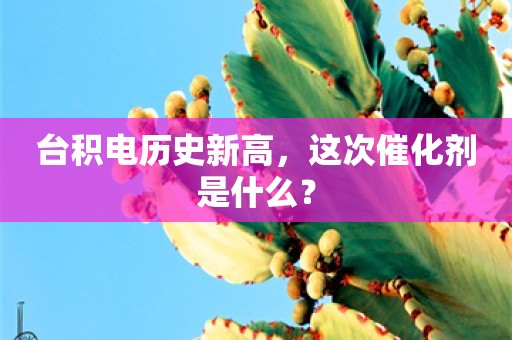 台积电历史新高，这次催化剂是什么？