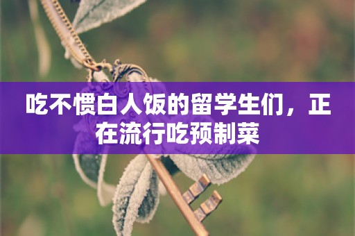 吃不惯白人饭的留学生们，正在流行吃预制菜