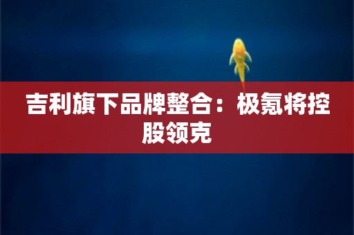 吉利旗下品牌整合：极氪将控股领克