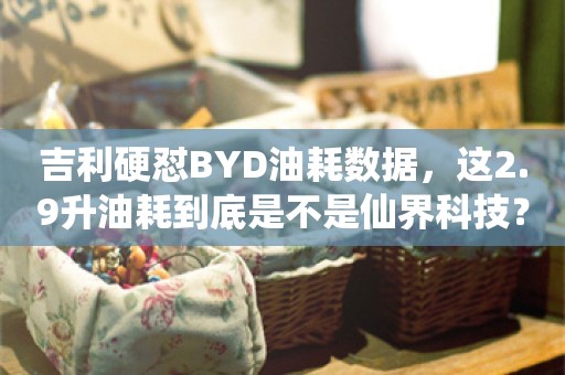 吉利硬怼BYD油耗数据，这2.9升油耗到底是不是仙界科技？