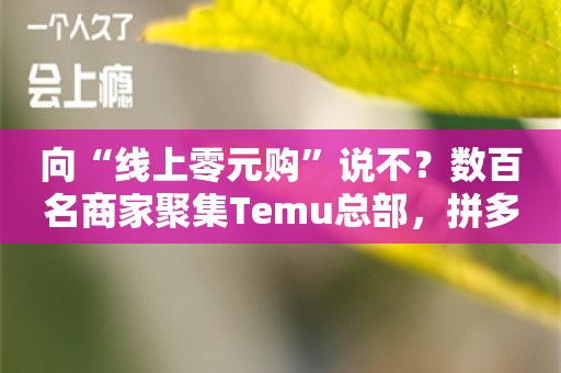 向“线上零元购”说不？数百名商家聚集Temu总部，拼多多回应