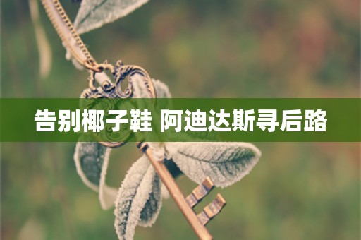 告别椰子鞋 阿迪达斯寻后路