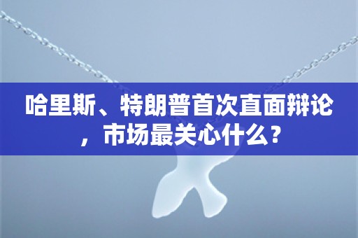 哈里斯、特朗普首次直面辩论，市场最关心什么？