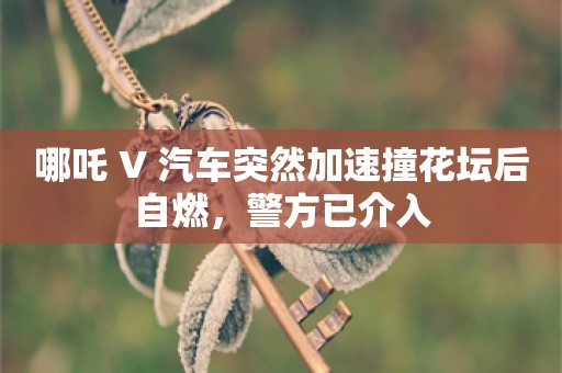 哪吒 V 汽车突然加速撞花坛后自燃，警方已介入