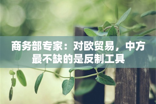 商务部专家：对欧贸易，中方最不缺的是反制工具