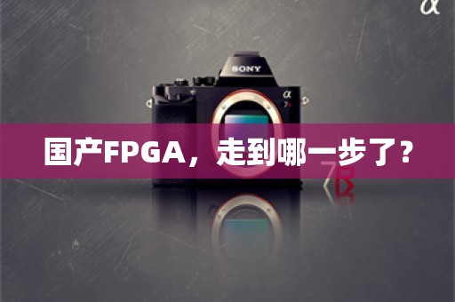 国产FPGA，走到哪一步了？