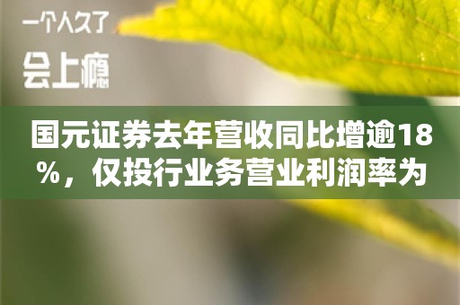 国元证券去年营收同比增逾18%，仅投行业务营业利润率为负